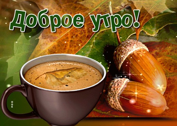 Дорое утро