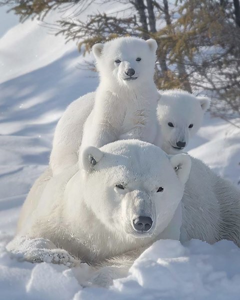 E1fa9c9b1b585e28aedf4124f58c45f0