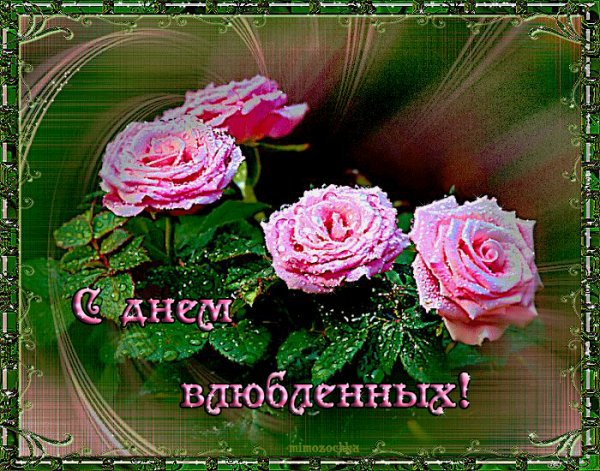 file_54991648