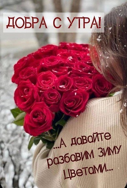 file_95545836