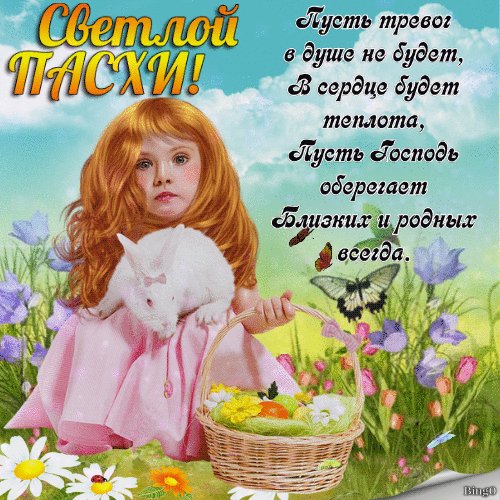 file_84982486