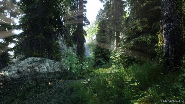 Bleak Realism ENB