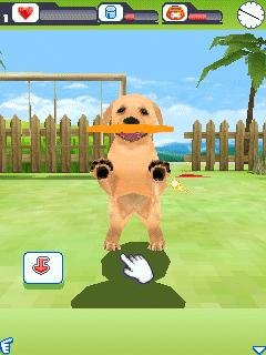 3D DogZ Moto 240x320
