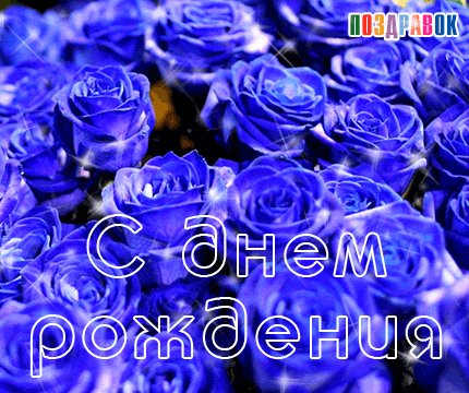 kartinka-s-dnem-rozhdeniya-sinie-rozy