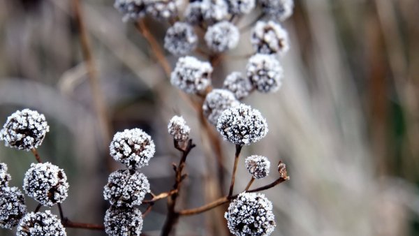 file_74502555