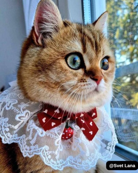 FB IMG 1774268766182