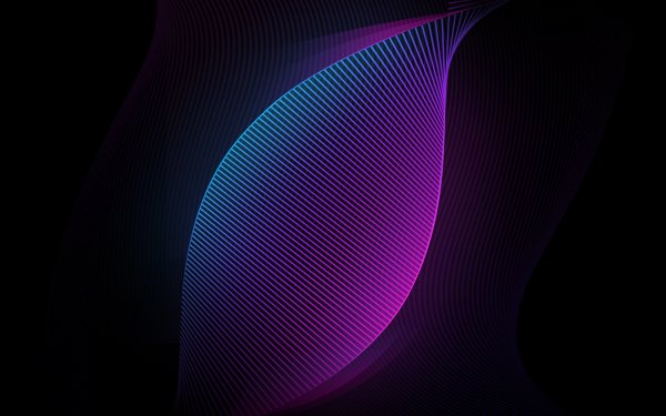 neon curves hd