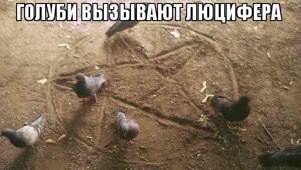b wEMyjFzD0