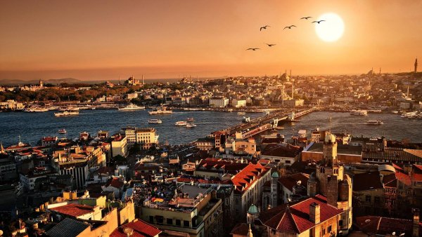 4в (1260) (Copy) (Copy)