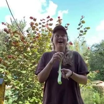 3SUNC-BIZNIERIAI(RINGTONE)