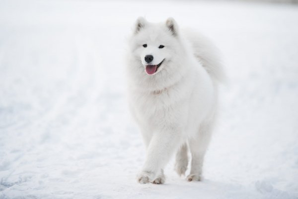 file_91084356