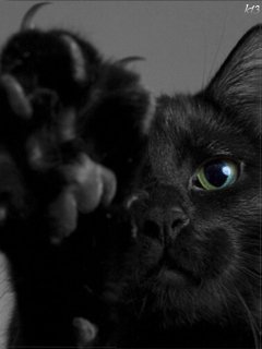 file_47803389