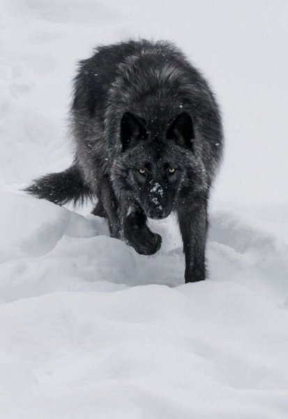 64e118875922985acd81b8596af97c3e