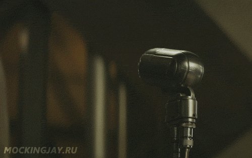 Сойка-пересмешница