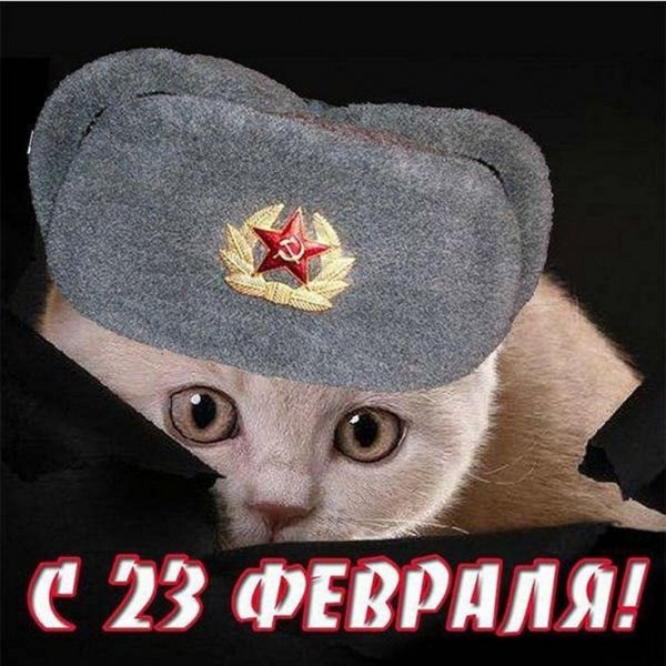 cf60d5d0d776695ece41975bd87d2