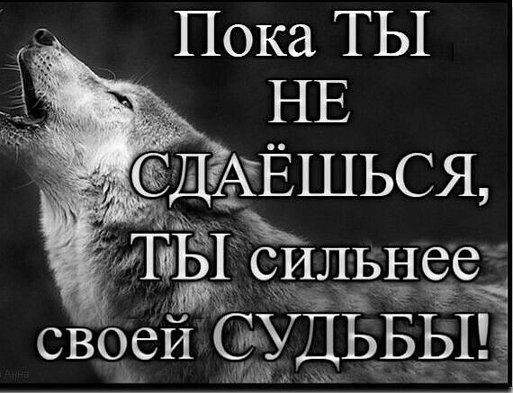 IMG 20250527 171732
