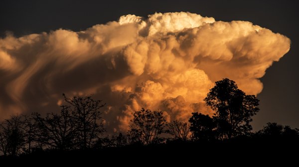 Oblako-nebo-siluety-derevia-osveshchenie-oblaka