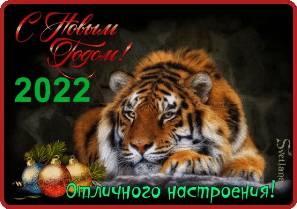 file_89293050