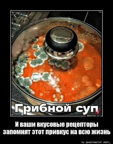 Грибной суп