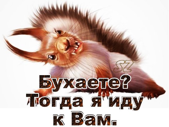 Vodka-banff-humor-prank