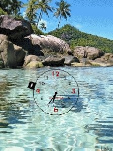 Nice nature