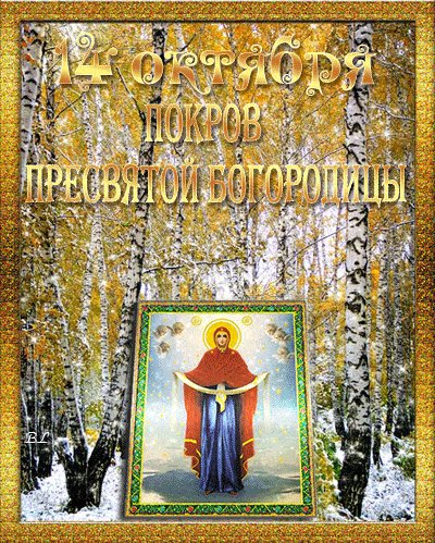 file_94795584