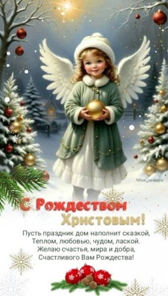 IMG 20260108 010653
