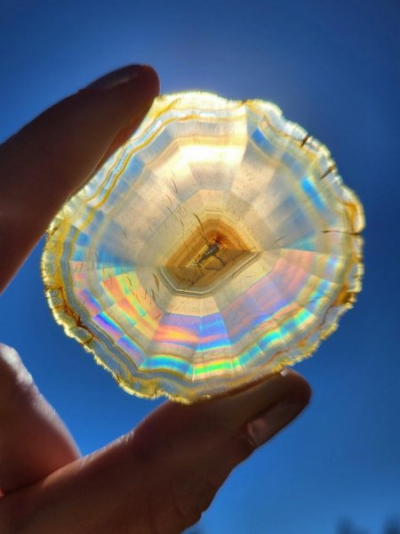 pic quark 1651899464737