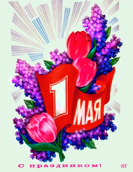 IMG 20240501 000439