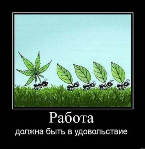 дем