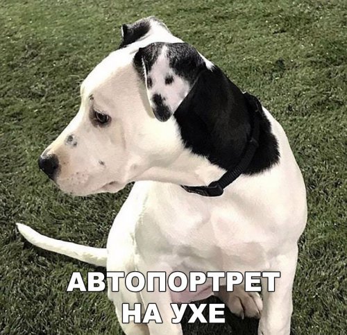 O!