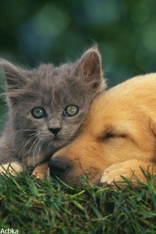 file_78536911