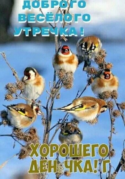 file_92573840