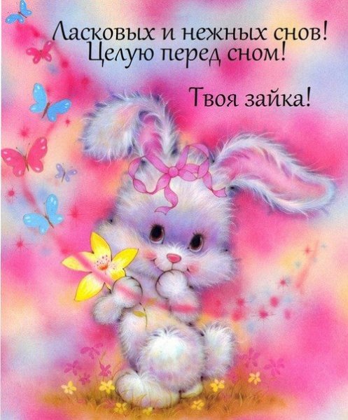 ласковый и нежный зайка