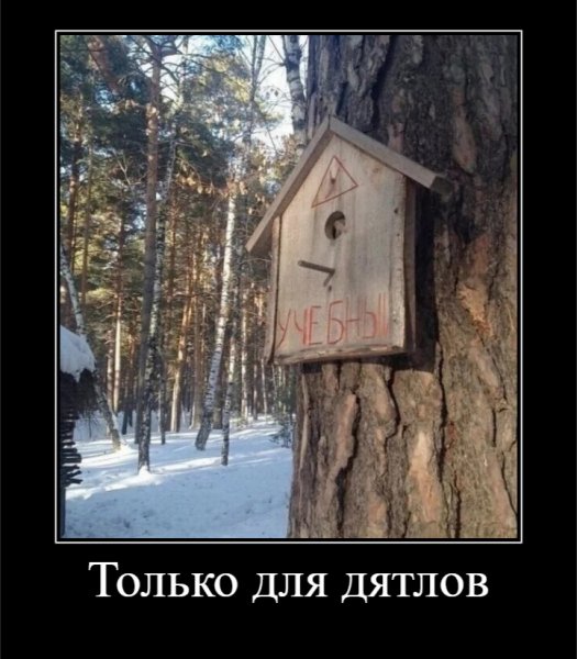 Только для дятлов