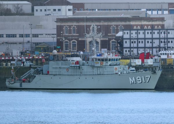 IMG viter59 BNS Crocus M917