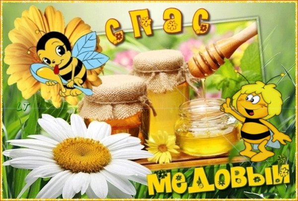 С ПЕРВЫМ МЕДОВЫМ СПАСОМ