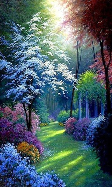 lovely nature-wallpaper-10901337