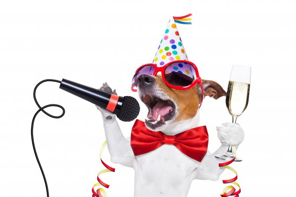 Dogs-Holidays-Butterflies-Microphone-Jack-Russell-terrier