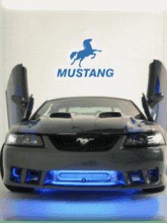 Mustang car