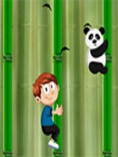 Bamboo Trekking