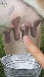 7baRu milk the cow 340787