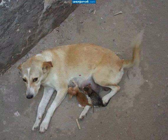 FB IMG 1492188736336