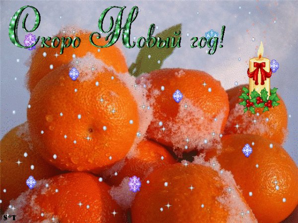 Мандаринки