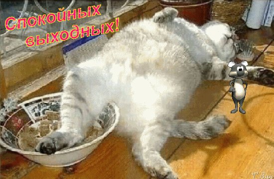 Анимированная открытка спокойных выходных
