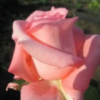 p.201.200.0