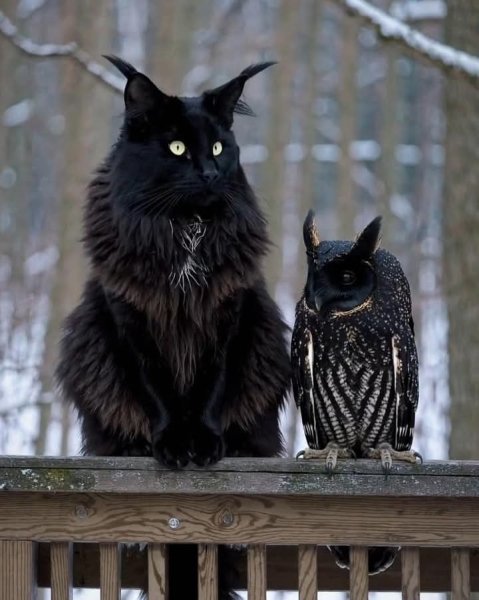 FB IMG 1756390591868