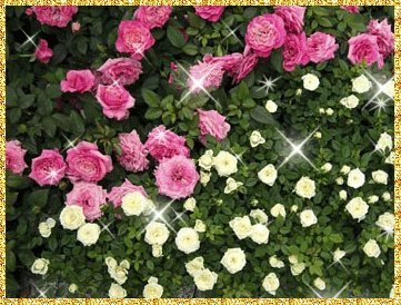 file_68456706
