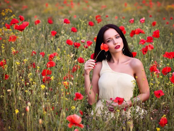Аngelina Рetrova 4