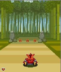 CrashNitroKart2 SE 176x220
